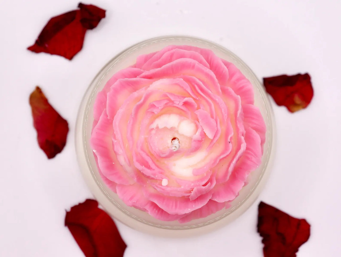 All we have  Kerze Kuppelglas | Handgemachte Duftkerze Sojawachs | Vegane Kerze personalisiert | Geschenkidee für Kerzenliebhaber